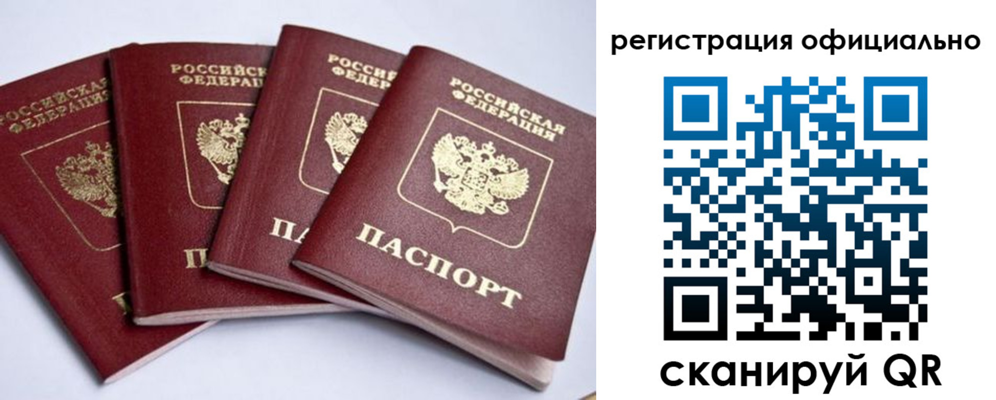 пропишу в квартире в Павловске